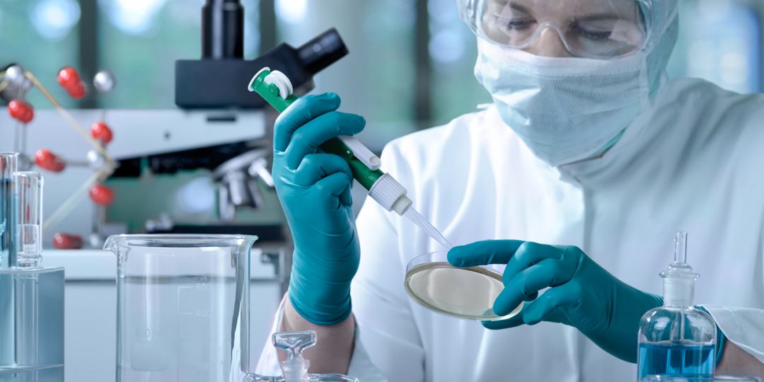 Laboratorio de microbiologia de los alimentos - BPL - ISO 17025